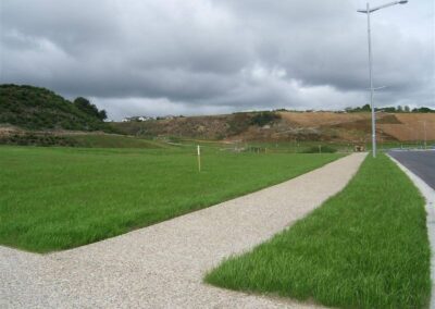 Established berms in a new subdivision