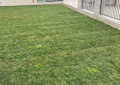 Freshly laid instant lawn at a new build