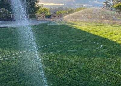 Sprinklers watering a lawn at sunset