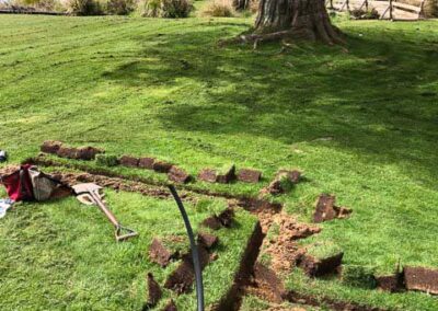 Laying irrigation pipe beside a lakeside tree