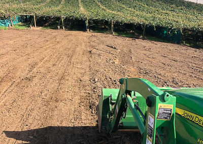 Preparing ground beside a kiwifruit orchard