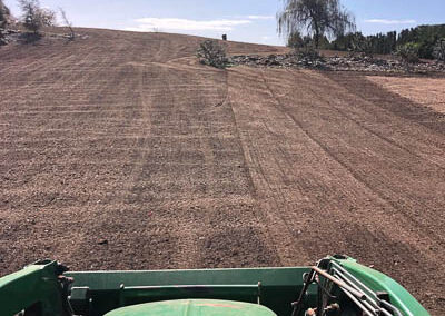 Levelled and cultivated block ready for sowing