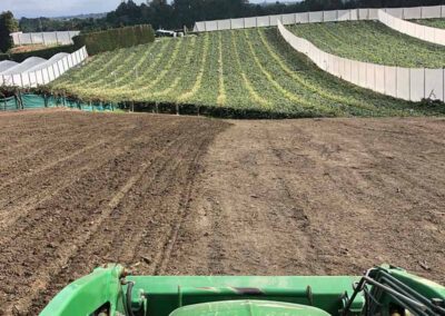 Cultivated ground between orchard blocks